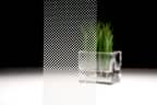 3M™ Fasara™ Decoratieve Glasfolie SH2FGIM-G Illumina Glace