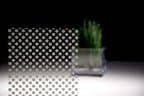 3M™ Fasara™ Glass Finishes Prism-Dot